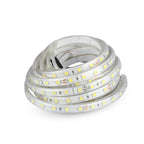 Taśma LED / Barwa:6400K / IP65/ Zasilanie: 24V / Rolka:5m