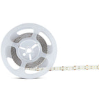 Taśma LED / Barwa:6400K / IP20 / Rolka:5m