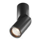 Plafon Dafne C027CL-L10B