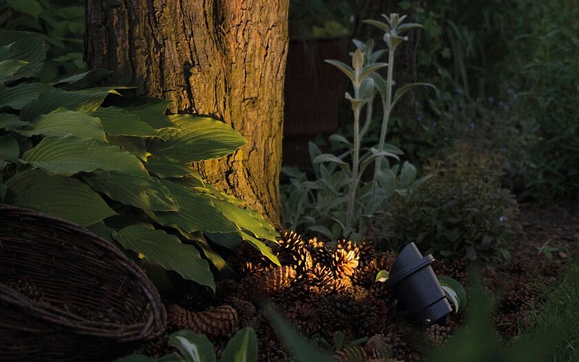 Nowodvorski Lampa gruntowa BUSH 10W only LED 50/60Hz IP65 - Aluminium lakierowane - Grafitowy 3401