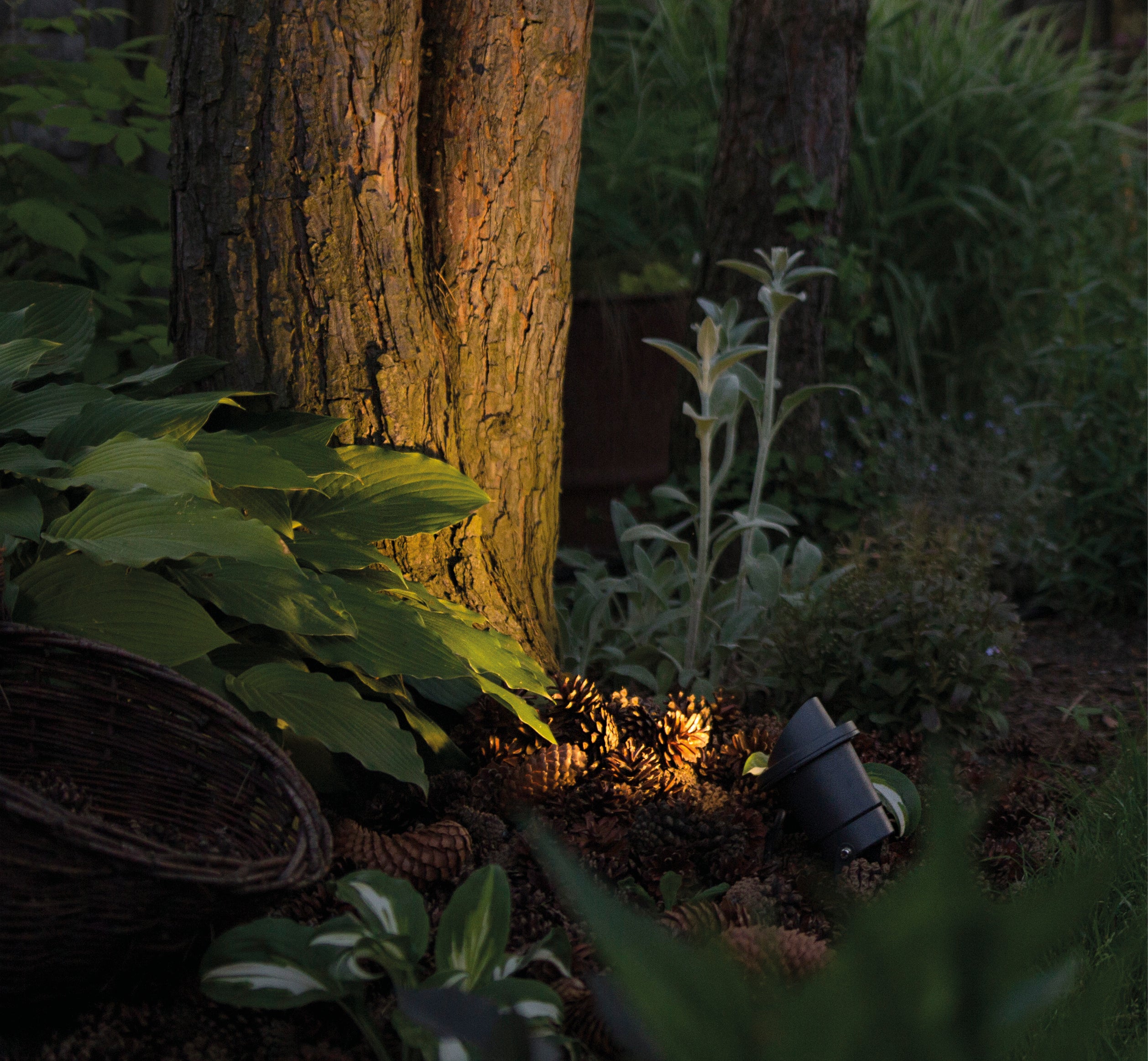 Nowodvorski Lampa gruntowa BUSH 10W only LED 50/60Hz IP65 - Aluminium lakierowane - Grafitowy