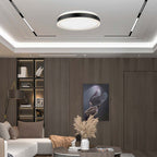 38W Lampa dekoracyjna LED / Barwa: 4000K/ Kolor: Czarny / Kształt: Okrągły
