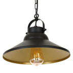 żyrandol Iron black/gold inside 1xE27