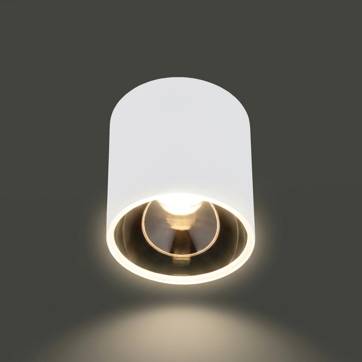 Nowodvorski Lampa downlights natynkowa HALO 10W only LED 50/60Hz - Stal lakierowana - Biały 8195 - lampa włączona