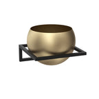 wall mounted flower hanger black with gold round pot ….x290x290