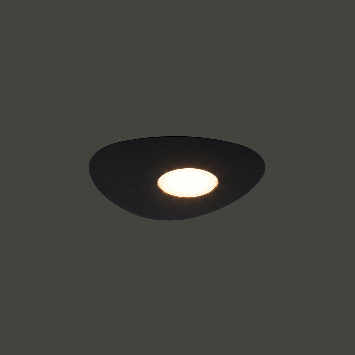 Nowodvorski Plafon ORGANIC 1x12W 50/60Hz - Stal lakierowana - Czarny 8303 - lampa włączona