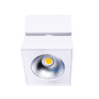 Maxlight Oprawa natynkowa Artu - Metal - Biały C0106