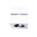 Maxlight Oprawa natynkowa Artu - Metal - Biały C0106