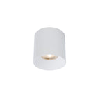 Nowodvorski Lampa downlights natynkowa CL IOS LED 30W, ANGLE 60 30W 50/60Hz - Aluminium/Znal - Biały II