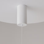 Maytoni Lampa wisząca Ray - Aluminium - Biały P022PL-L20W3K