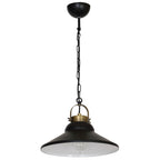 żyrandol Iron black/antic brass 1xE27
