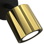 spot Demia black/brass 1xGU10