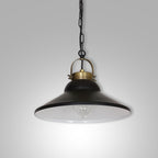 żyrandol Iron black/antic brass 1xE27