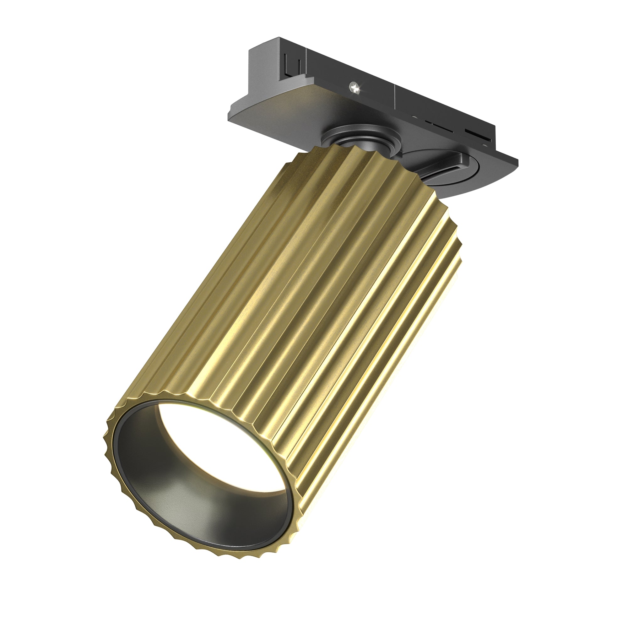 Oprawa szynowa Calipso TR218-1-GU10-BS
