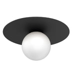plafon Flat black (glass 2815) 1xE27