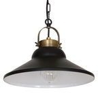 żyrandol Iron black/antic brass 1xE27
