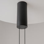 Maytoni Lampa wisząca Evolution - Aluminium - Czarny MOD396PL-L10W3K