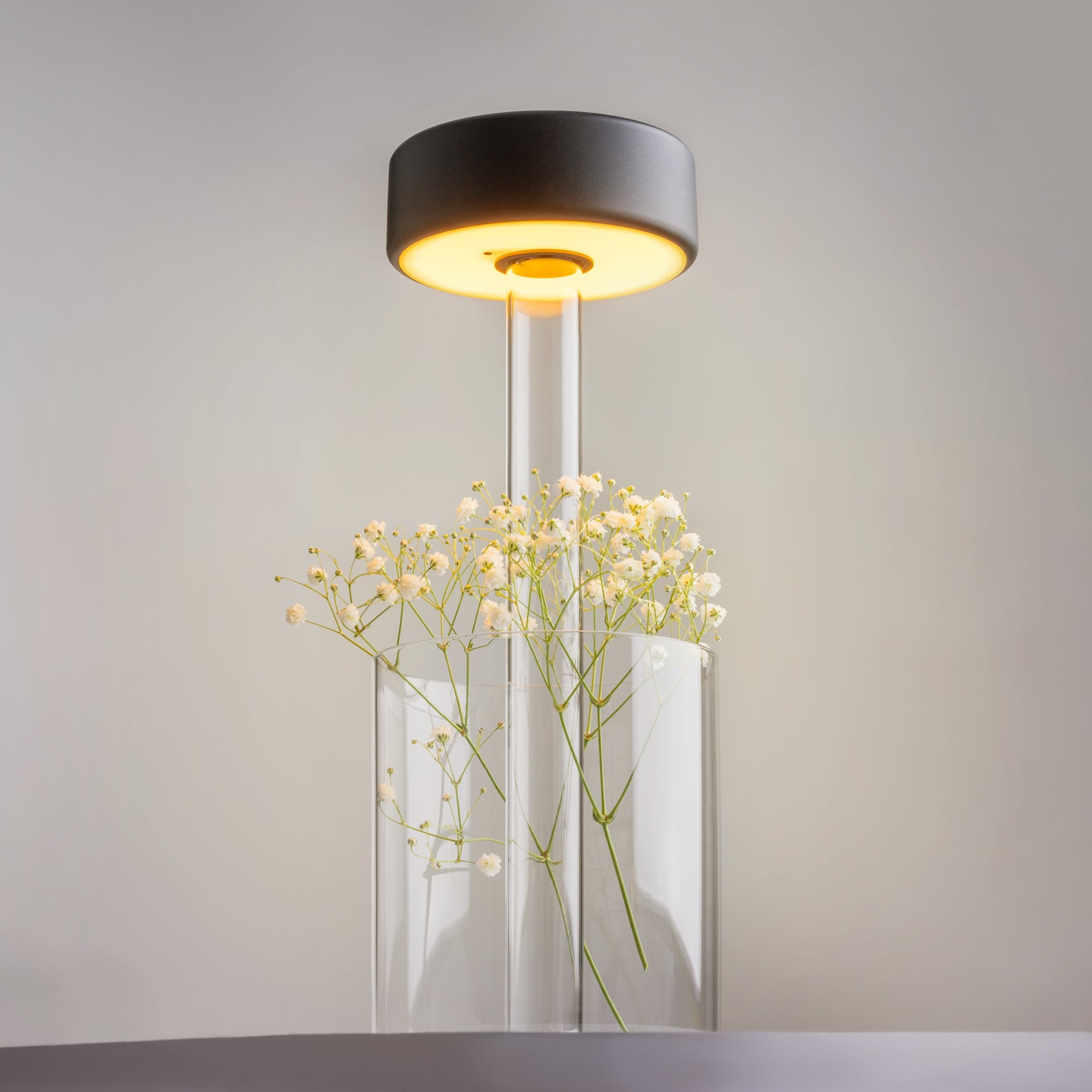 Maytoni Lampa akumulatorowa AI Collaboration - Szkło - Transparentny MOD229TL-L3B3K1