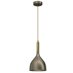 żyrandol Noak titanium-bronze/shiny gold 1xE27