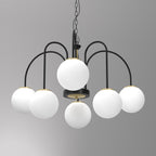 żyrandol Cambridge (glass 2815) black/brass 6xE14